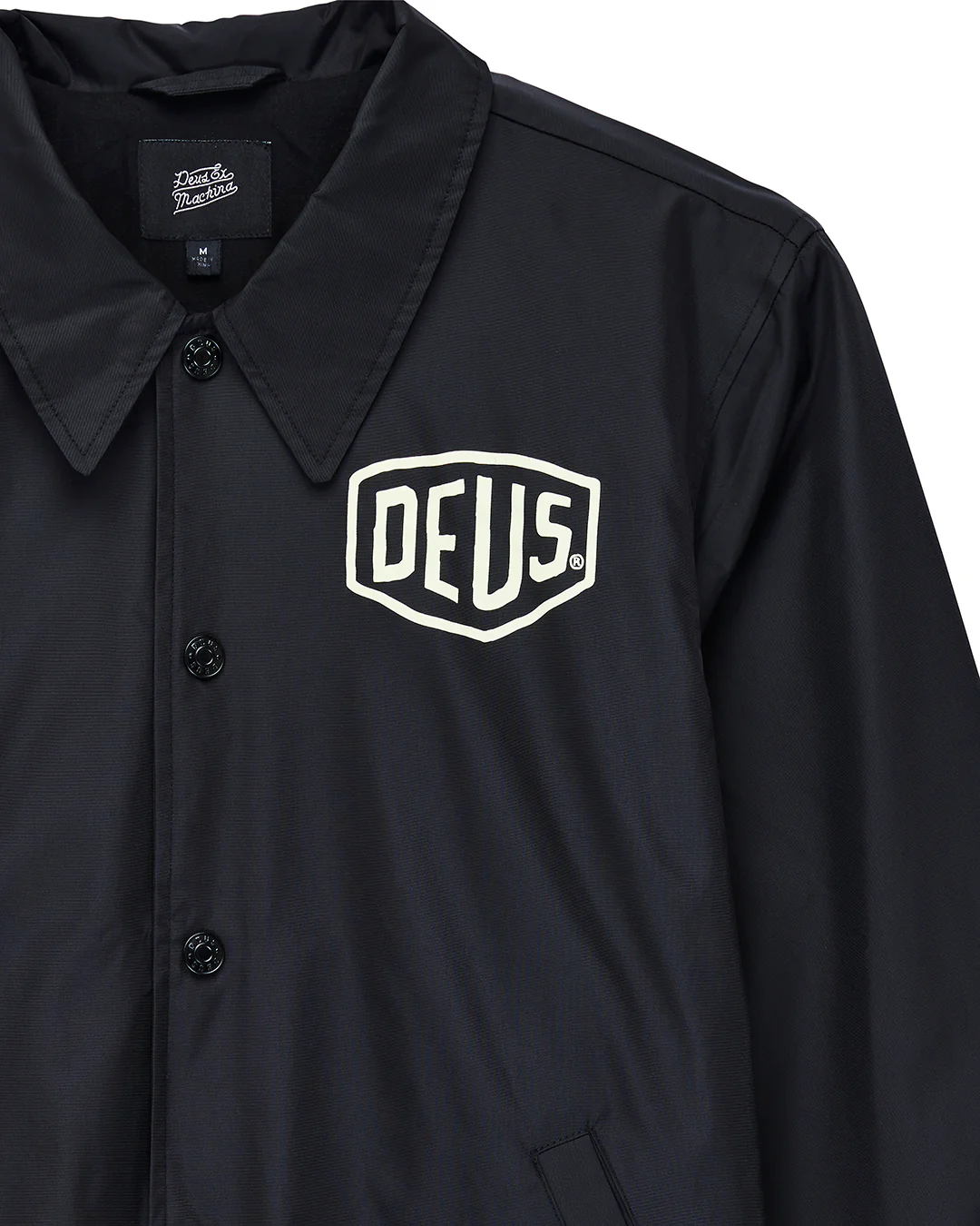 Camperdown Coach - Black - Image 9